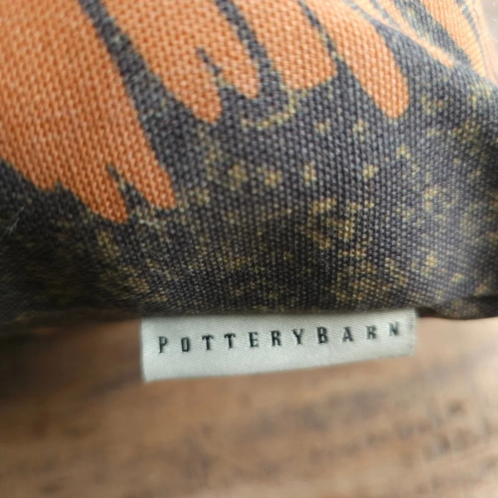 Pottery Barn Halloween Scaredy Black Cat Throw Pillow Orange Print 20